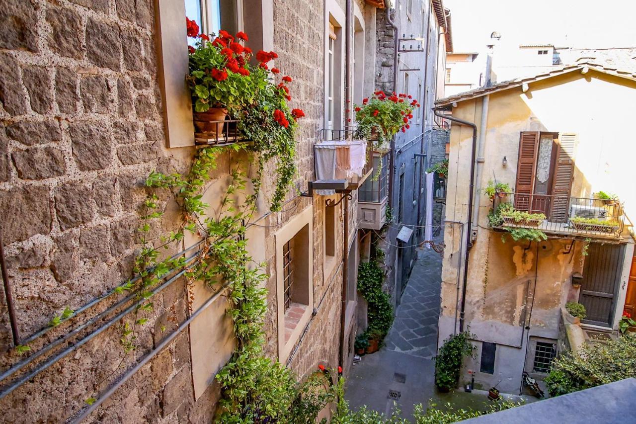 La Rosa Scarlatta Διαμέρισμα Βιτέρμπο Εξωτερικό φωτογραφία