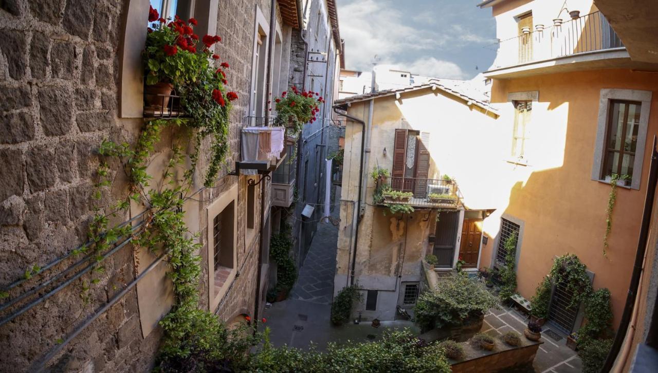 La Rosa Scarlatta Διαμέρισμα Βιτέρμπο Εξωτερικό φωτογραφία